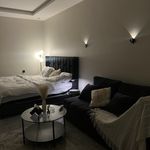 استديو بتصميم هادئ ودخول ذاتي