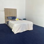 استديو بأثاث مريح وبسيط