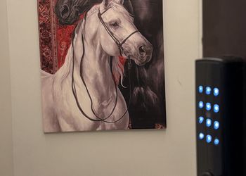 استديو هادئ بسرير ماستر 