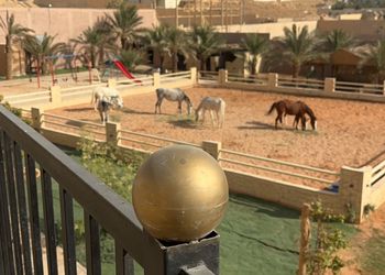 مزرعة بجلسة خارجية واسطبل خيل