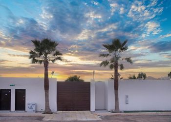شاليه بمسطح اخضر