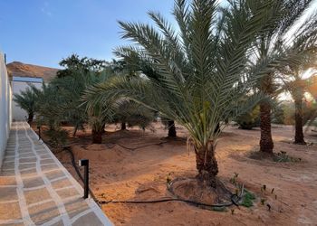 استراحة بصالة جلوس ومسبح 