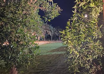 مزرعة قسمين بمجالس واسعة للهدوء 
