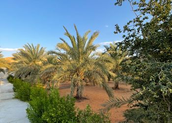 استراحة بصالة جلوس ومسبح 