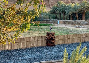 استراحة بمسطحات خضراء 