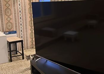 ديوانية ببيت شعر وفناء خارجي 