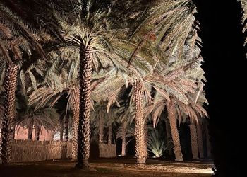 مزرعة محاطة بالجبال