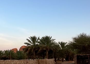 استراحة بمجلس وفناء خارجي 