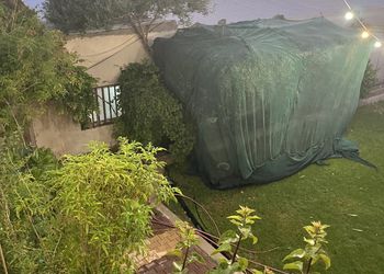 مزرعة بصاله جلوس 