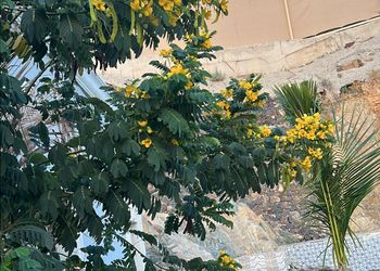 استراحه بمجالس انيقه وواسعه