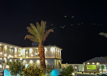 استراحة بمسطح اخضر ومجالس
