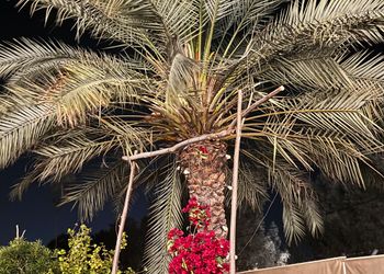 مزرعة بمناظر خلابة وجلسة خارجية 