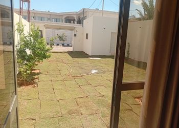 استراحة بمسطح اخضر ومجلس