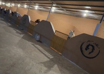 شاليه بجلسة خارجية واسطبل خيل