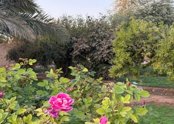 مزرعة ببيت شعر 