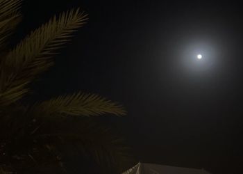 مزرعة ببيت شعر وأجواء ممتعة 