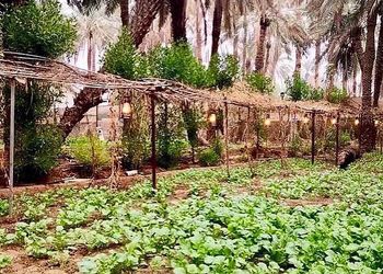 مزرعة بمسطحات خضراء وجلسة خارجية