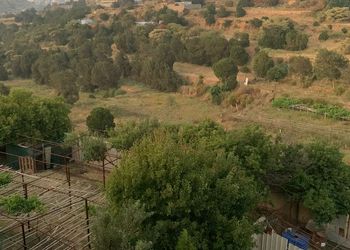 شقة بصالة وغرفة نوم 