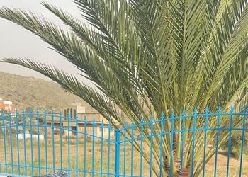 شقة بغرفة معيشة وغرفتين نوم 