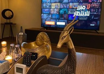 شقة أنيقة بصالة وغرفة نوم
