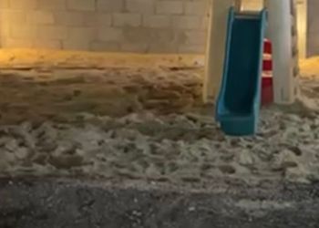 استراحة بمسطح اخضر ومجالس