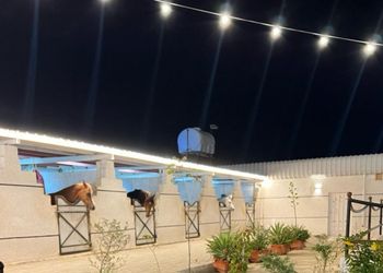 شاليه ومربط خيول