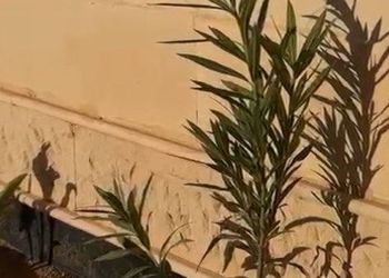 شاليه باثاث مريح