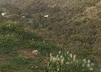 فيلا مميزة بأجواء عائليه