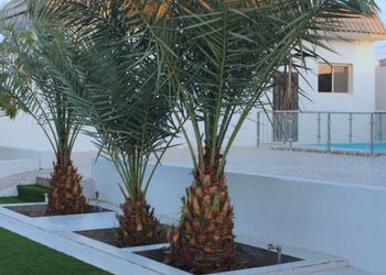 استراحة بجلسة خارجية و مجالس