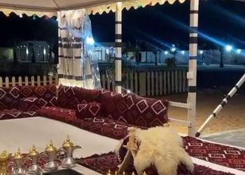 استراحة بجلسة خارجية و مجالس