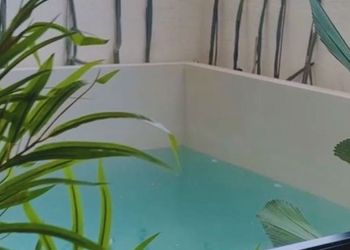 شاليه بصاله انيقة ودخول ذاتي