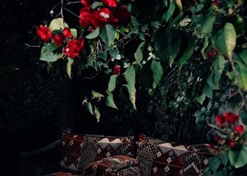 مزرعة بمجالس واسعة وأجواء ممتعة