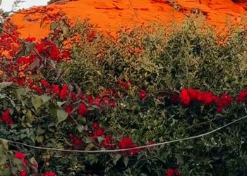 مزرعة بمجالس واسعة وأجواء ممتعة