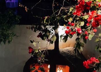 مزرعة بمجالس واسعة وأجواء ممتعة