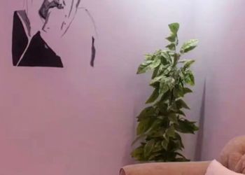 شاليه بمجلس مطل على مسبح داخلي