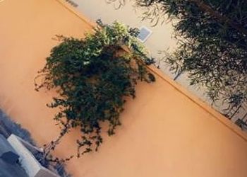 شقة بصالة مريحة ودخول ذاتي 