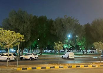 شقة بغرفة نوم وصالة 