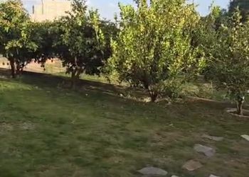شقة بصالة مريحة وثلاث غرف نوم 