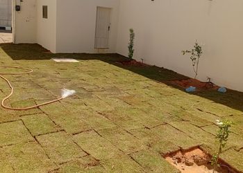استراحة بمسطح اخضر ومجلس