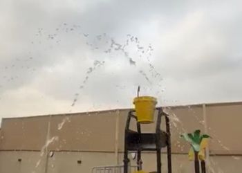 شاليه بصاله انيقة ومسبح
