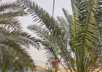 استراحة بملعب كرة طائرة