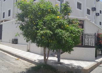 شقة بغرفتين نوم وأثاث مريح