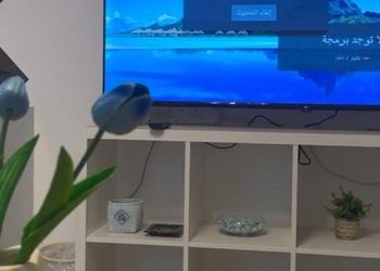 شقة بصالة وغرفة نوم