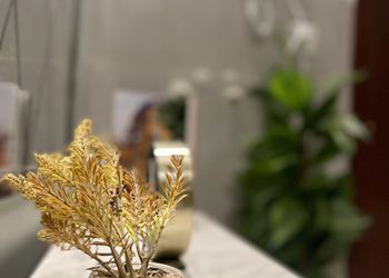 استديو بسرير ماستر وجلسة جانبية 