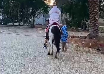 مزرعة قسمين بمجالس واسعة للهدوء 