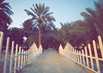 مزرعة بفيلا تراثية مودرن و إسطبل