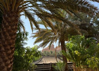 استراحة بجلسة خارجية و مجلس