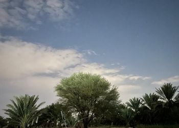 مزرعة بطراز شعبي وملحق خارجي