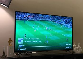 شقة بغرفة معيشة وغرفتين نوم 
