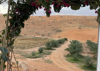 مزرعة بأجواء جميلة ومجالس واسعة
